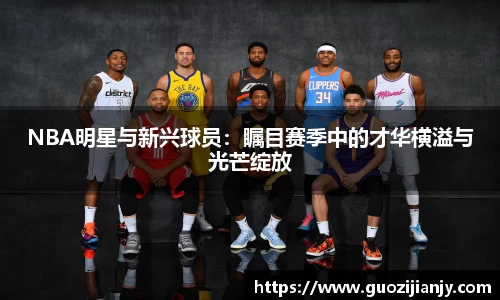 鼎点注册登录入口官网